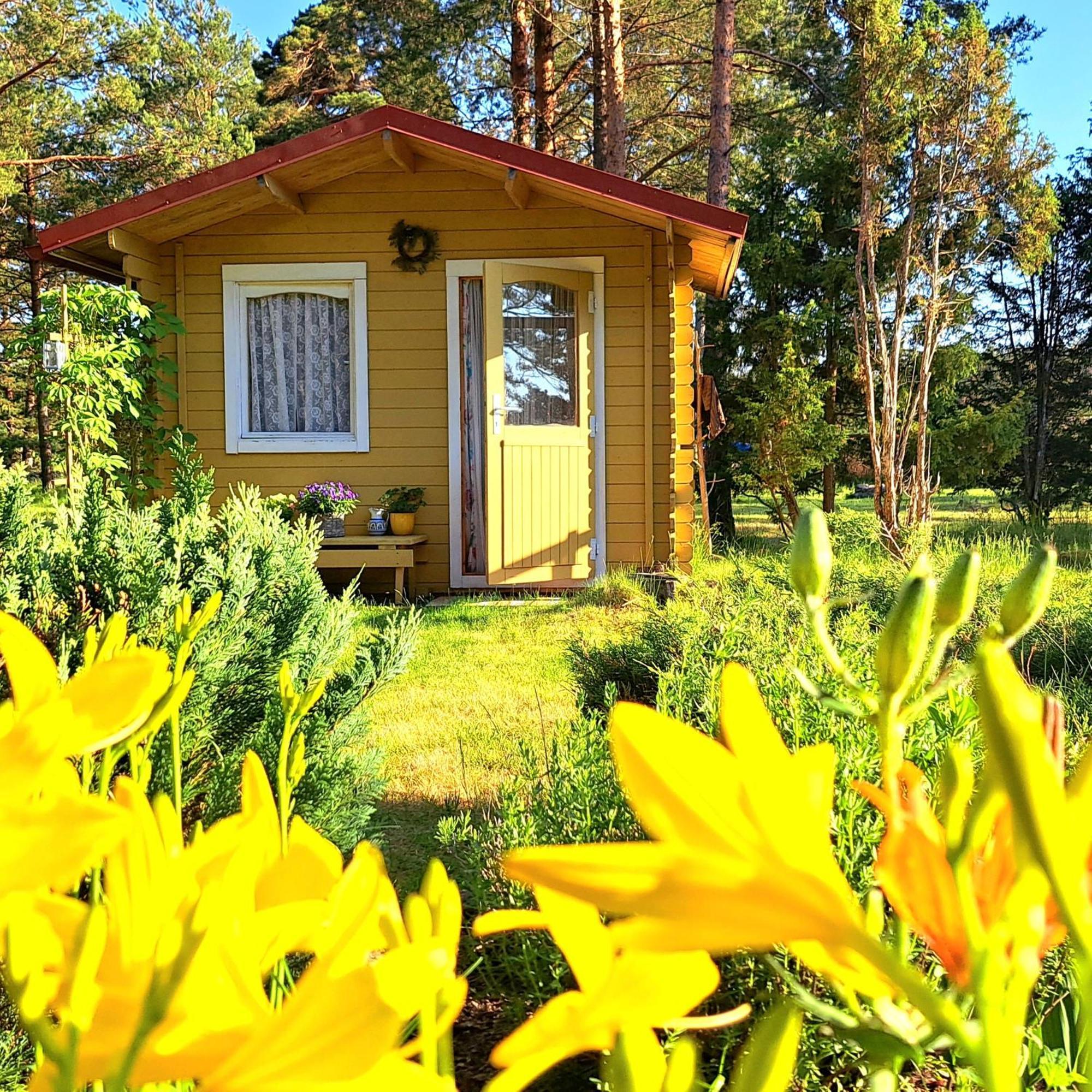 Lootuse Spa Nommemaa Exterior photo